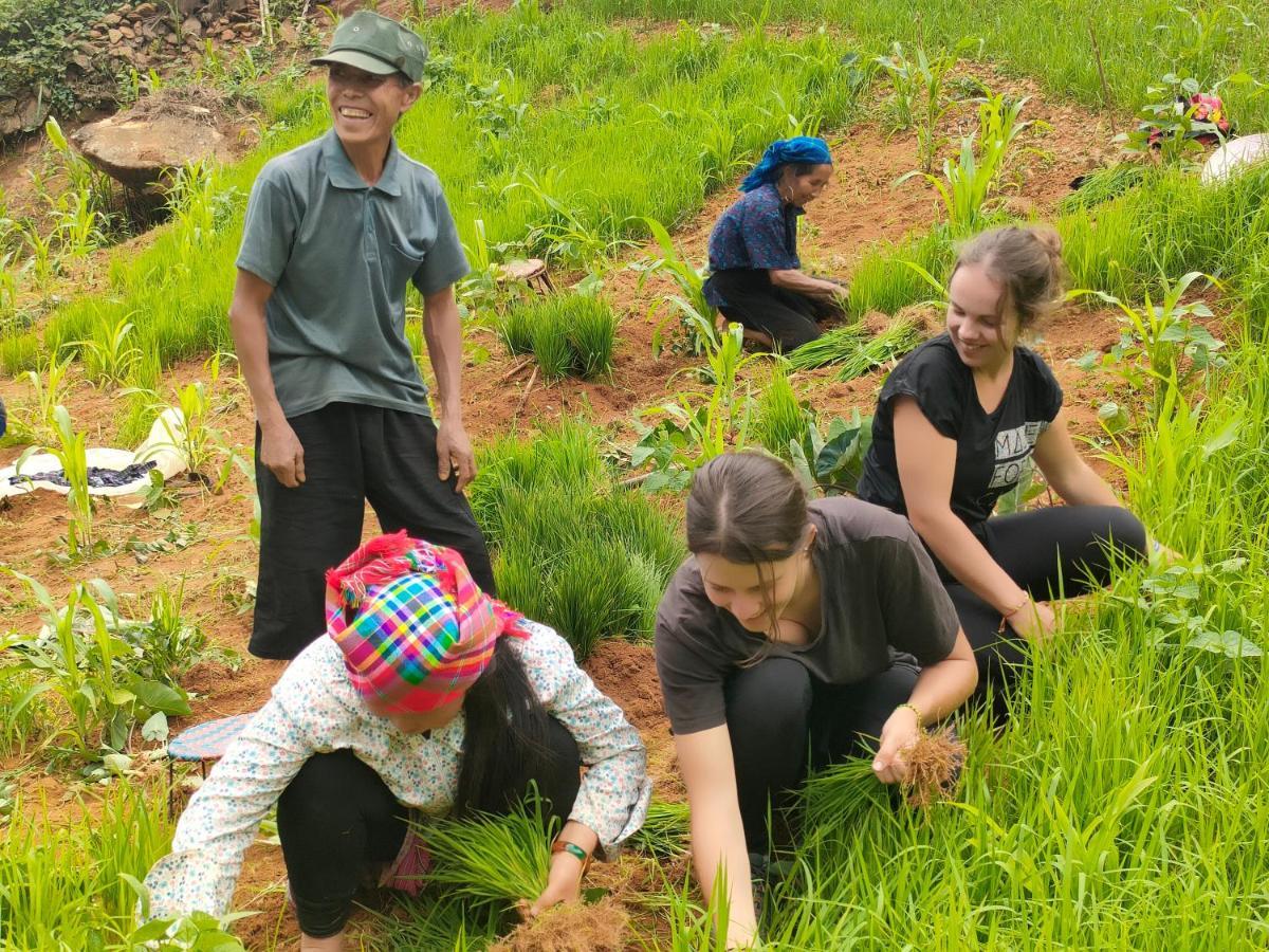 Mu Cang Chai Indigenous Homestay- Trek- Food- Bus מראה חיצוני תמונה