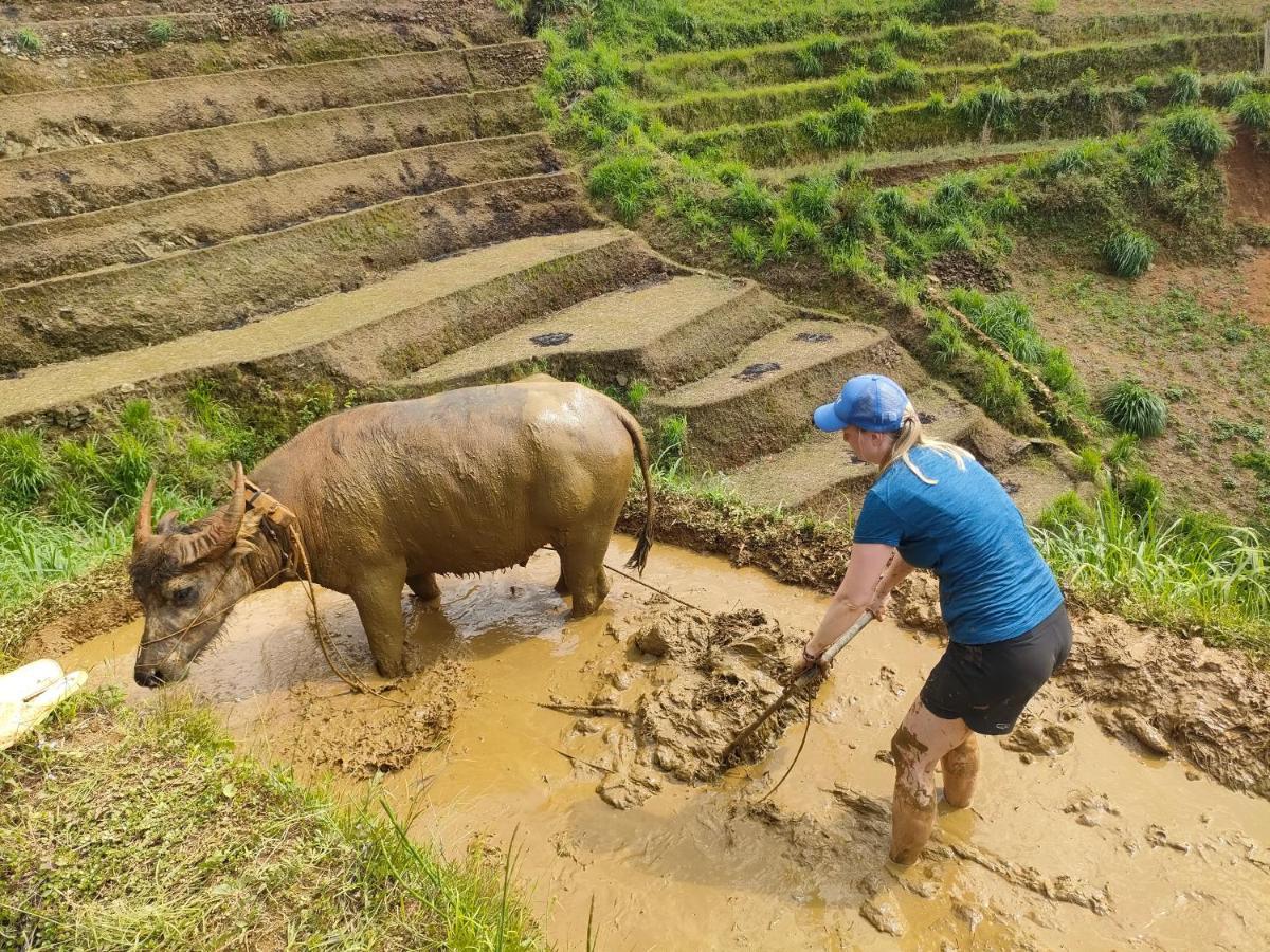 Mu Cang Chai Indigenous Homestay- Trek- Food- Bus מראה חיצוני תמונה