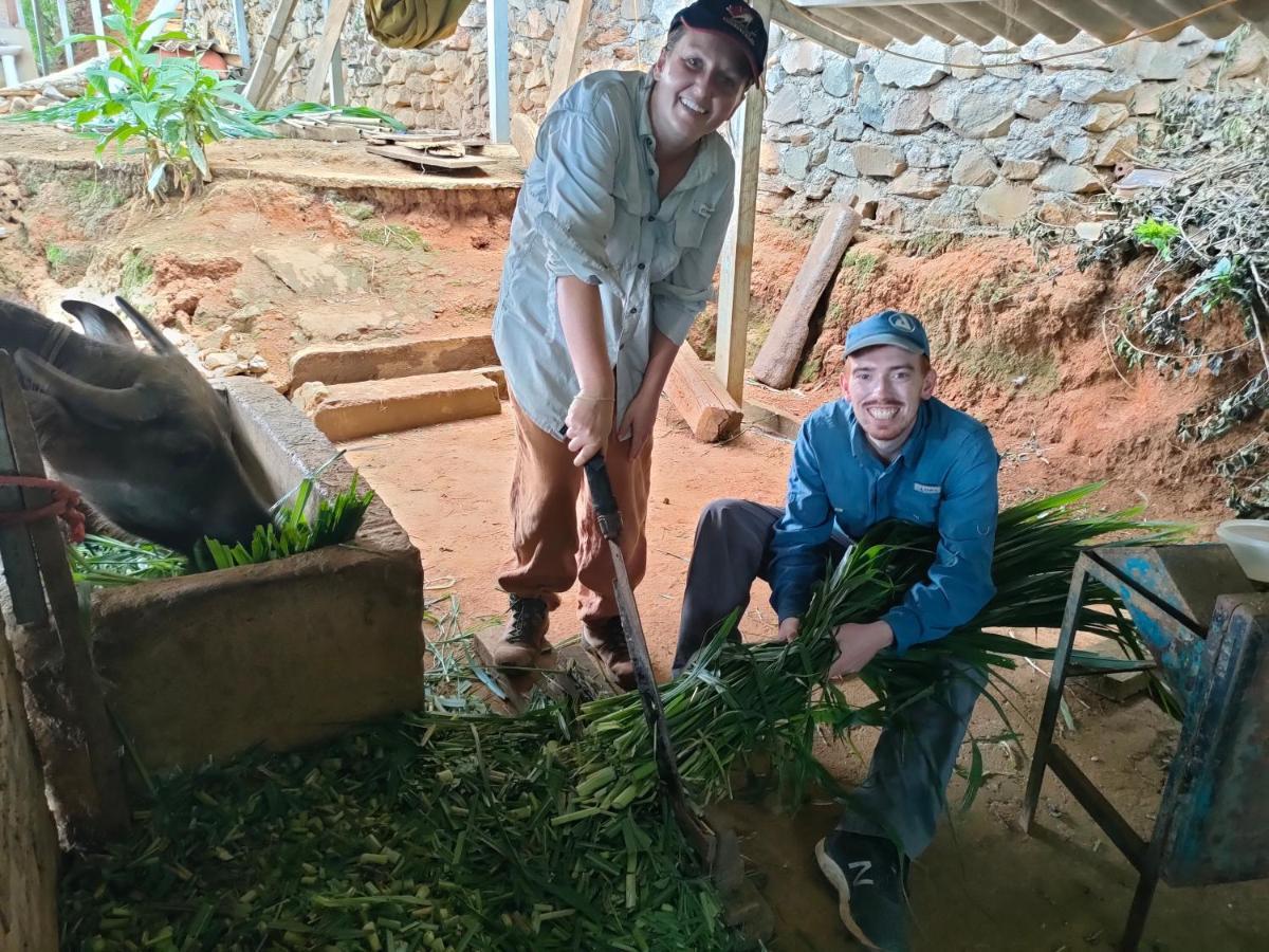 Mu Cang Chai Indigenous Homestay- Trek- Food- Bus מראה חיצוני תמונה