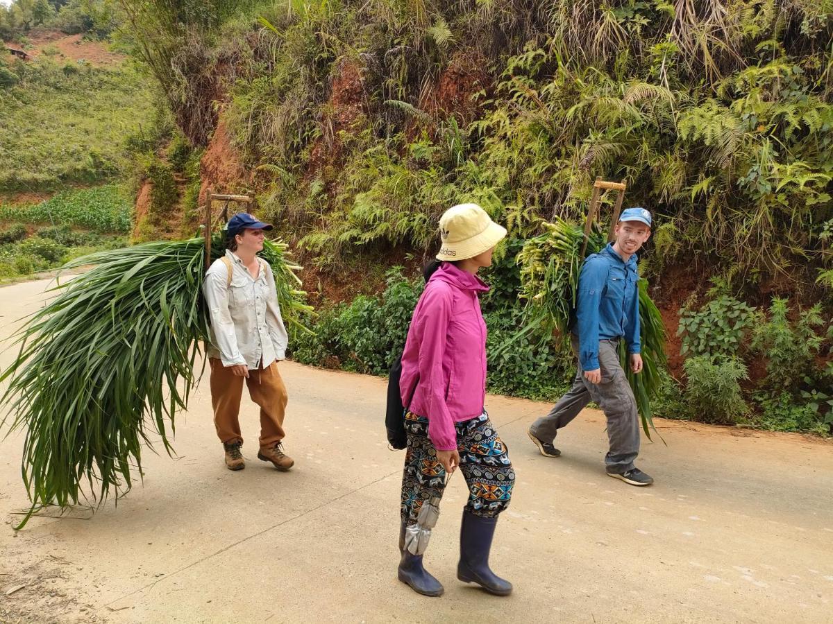 Mu Cang Chai Indigenous Homestay- Trek- Food- Bus מראה חיצוני תמונה