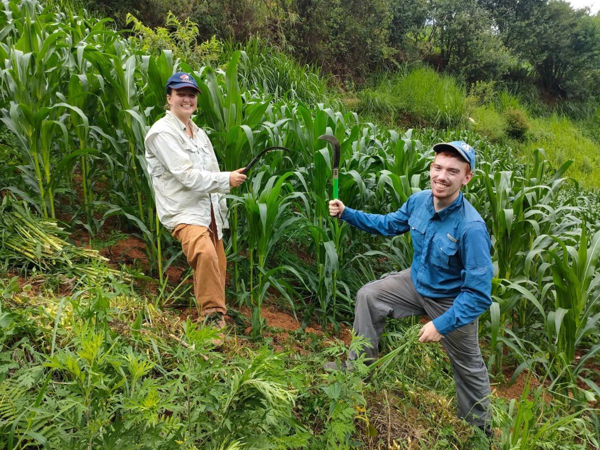 Mu Cang Chai Indigenous Homestay- Trek- Food- Bus מראה חיצוני תמונה