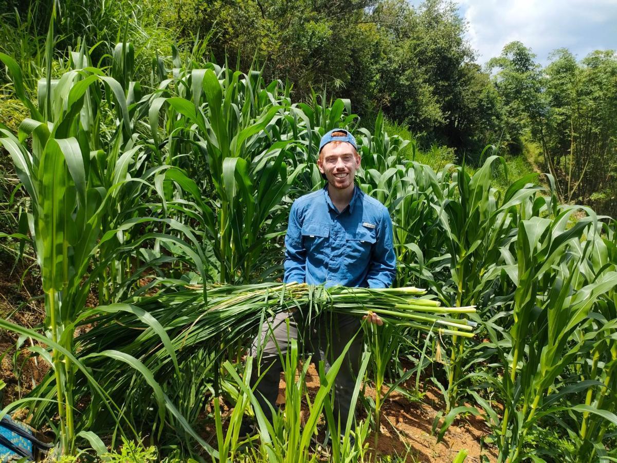 Mu Cang Chai Indigenous Homestay- Trek- Food- Bus מראה חיצוני תמונה
