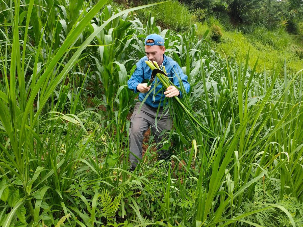 Mu Cang Chai Indigenous Homestay- Trek- Food- Bus מראה חיצוני תמונה