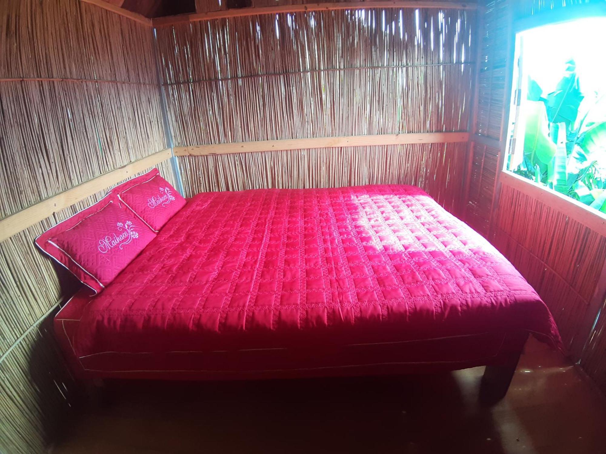 Mu Cang Chai Indigenous Homestay- Trek- Food- Bus חדר תמונה