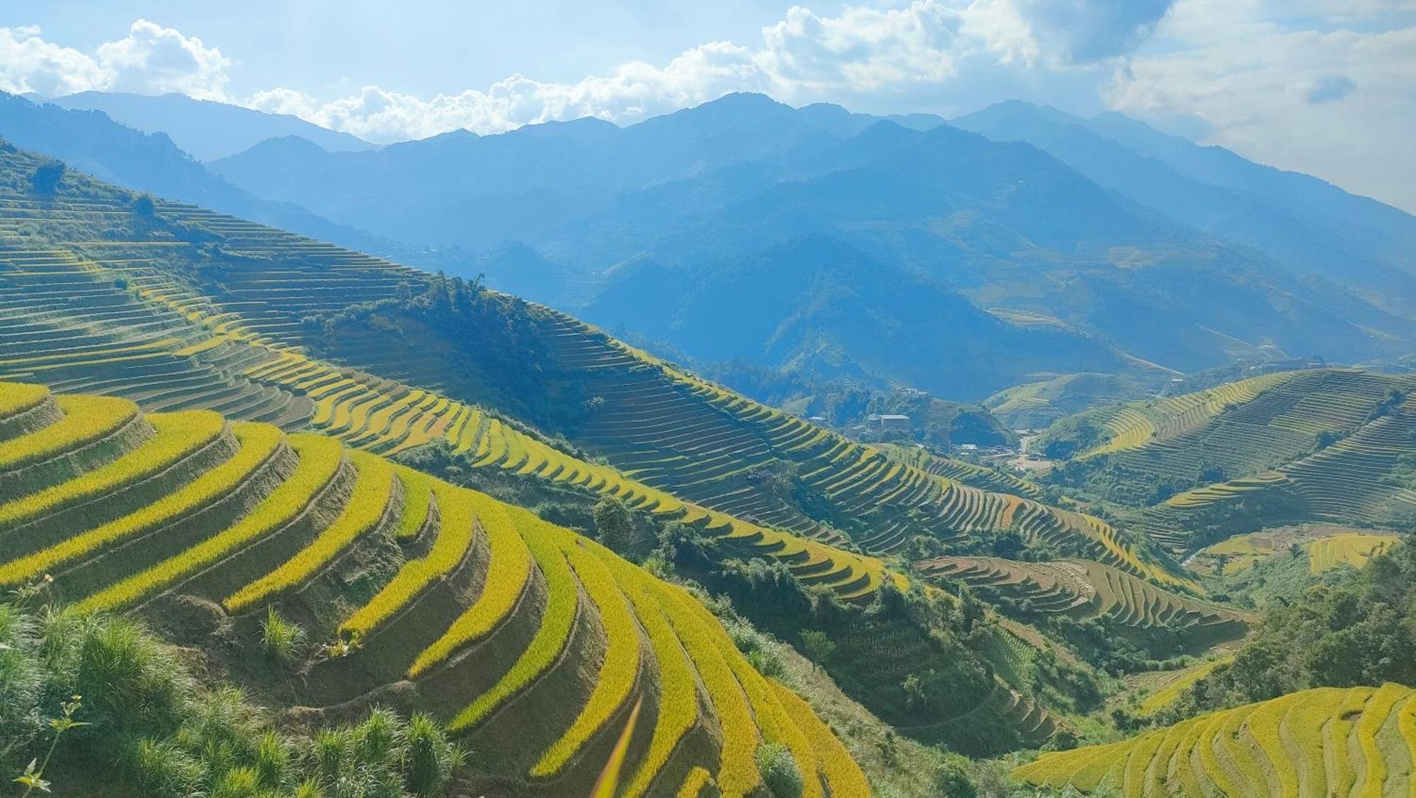 Mu Cang Chai Indigenous Homestay- Trek- Food- Bus מראה חיצוני תמונה