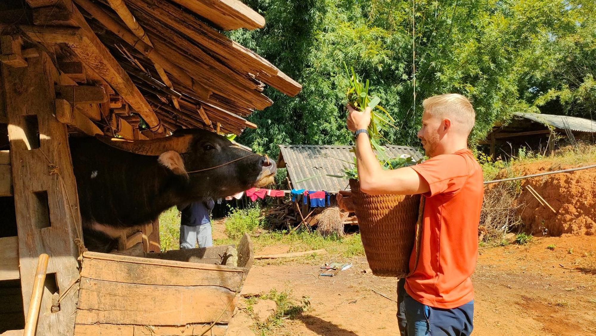 Mu Cang Chai Indigenous Homestay- Trek- Food- Bus מראה חיצוני תמונה